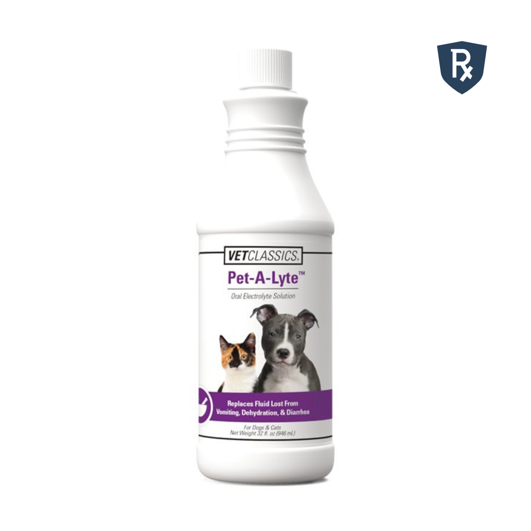 Digestive Aid Bundle