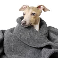 International product male