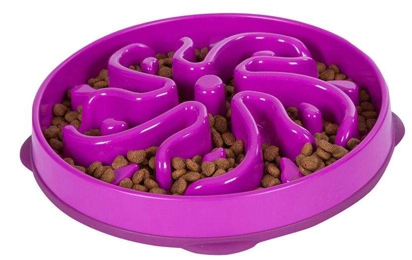 Outward Hound Dog Games Slo Bowl Slow Feeders Flower Design Dog Bowl