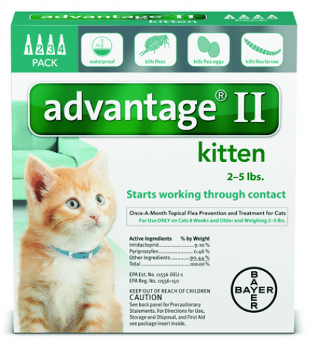 Advantage II Kitten