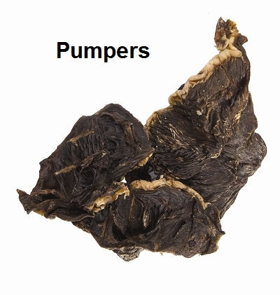 Jones Natural Chews Pumpers Dog Treat