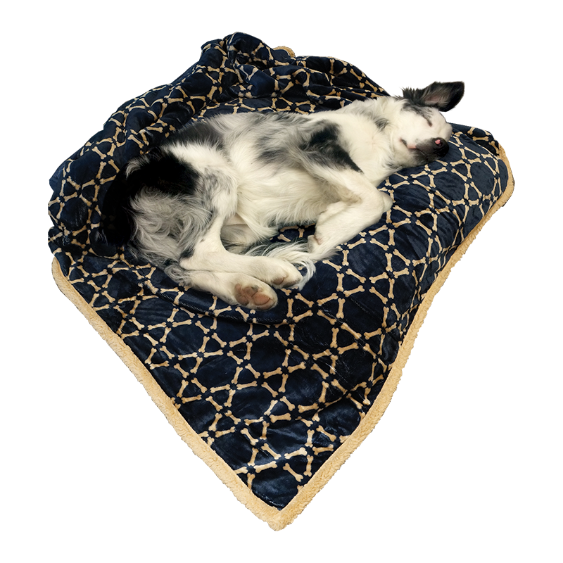 Arlee Pet Products Folded Two Layer Hexabone Midnight Blue/Tan Throw Blanket